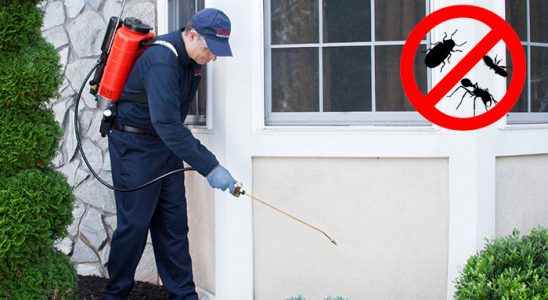 Zeytinburnu Akrep İlaçlama böcek ilaçlama ve haşere kontrolü — ilaclama-tr.com